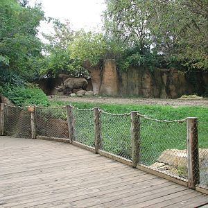 River's Edge - Black Rhino Exhibit