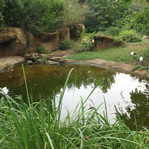 River's Edge - Black Rhino Exhibit