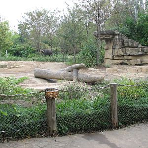 River's Edge - Asian Elephant Exhibit