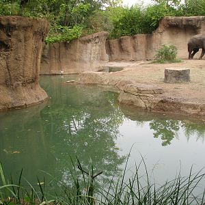 River's Edge - Asian Elephant Exhibit