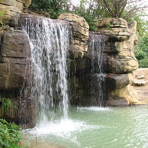 River's Edge - Asian Elephant Exhibit