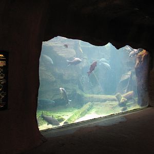 River's Edge - Missouri River Aquarium