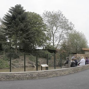 Back from the Brink 4 Otter exhibit