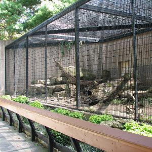 Tiger Trail - Tiger Exhibit