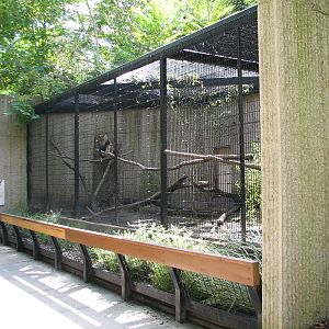 Tiger Trail - Tufted Deer Exhibit