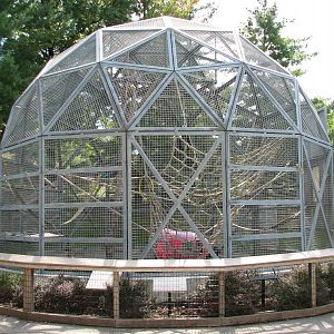 Tiger Trail - Orangutan Exhibit