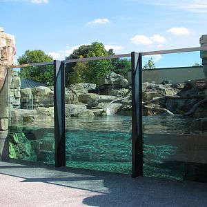 Front Entry Plaza - River Otter Exhibit
