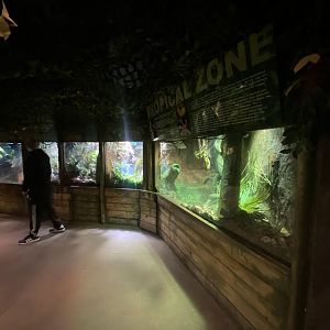 Reptile House 150523