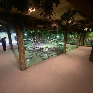 Large snake exhibits 150523