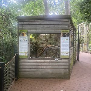 Enclosure for Golden lion tamarin and Pygmy marmoset 250623