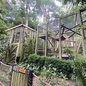 Enclosures for Binturong and Yellow-breasted capuchins 250623