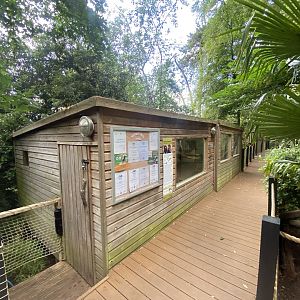 Red titi enclosure 250623