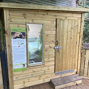 Yellow-footed tortoise enclosure 250623