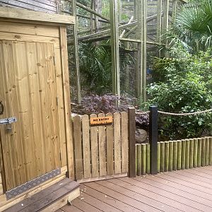 Enclosures for Yellow-footed tortoise and Binturong 250623