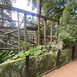 Binturong enclosure 250623