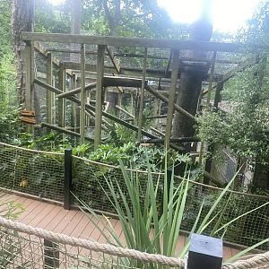 Binturong enclosure 250623
