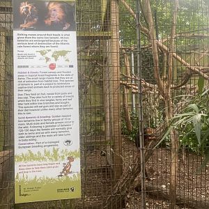 Signage example 250623