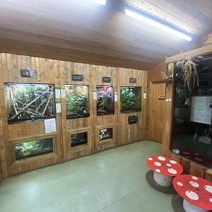 Tropical Room 250623