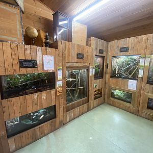 Tropical Room 250623