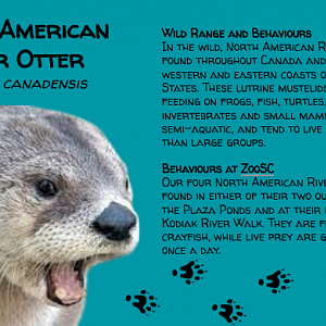 ZooSC at Myrtle Beach -> Habitat Signs