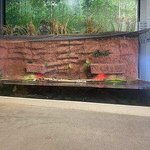 Saint Louis River - Aviary