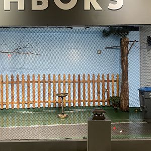 Wild Neighbors - American Crow Exhibit