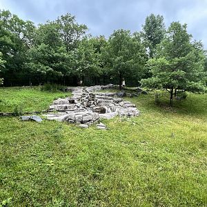 Northern Trail - Sichuan Takin Exhibit