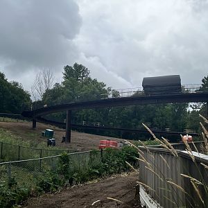 Treetops Trail Construction