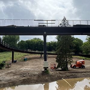 Treetops Trail Construction