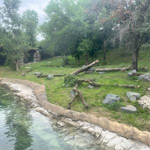 Northern Trail - Amur Tiger Exhibit