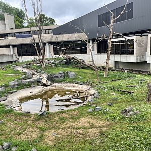 Japanese Macaque Exhibit