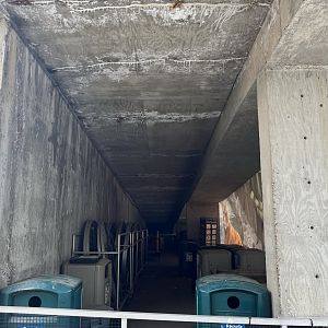 Decay Along the Ramp