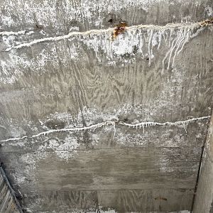 Decay Along the Ramp