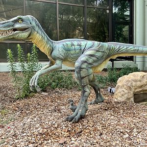 Dino Hideout - Deinonychus Animatronic