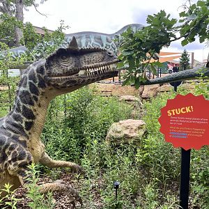 Dino Hideout - Allosaurus Animatronic