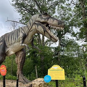 Dino Hideout - Tyrannosaurus Rex Animatronic
