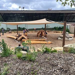 Dino Hideout - Playground