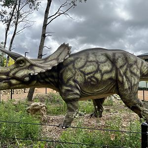 Dino Hideout - Triceratops Animatronic