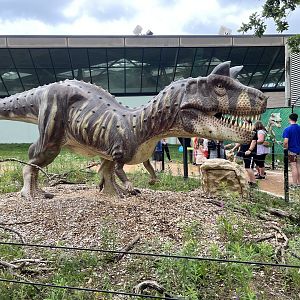 Dino Hideout - Carnotaurus Animatronic