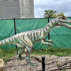 Dino Hideout - Baryonyx Animatronic