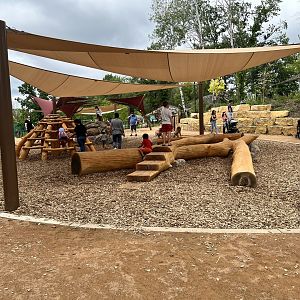 Dino Hideout - Plaza