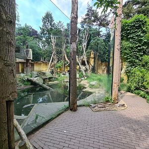 Spectacled bear enclosure