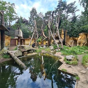 Spectacled bear enclosure