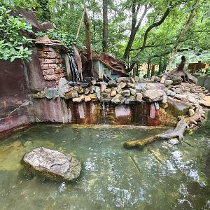 Asian small-clawed otter enclosure