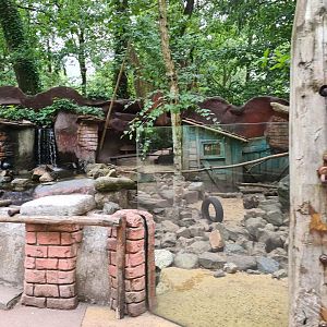 Asian small-clawed otter enclosure