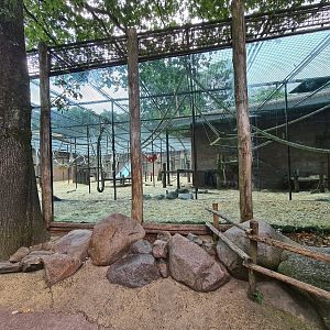 Chimpanzee enclosure (oof)