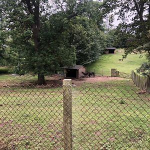 Donkey Enclosure at Sewerby Zoo (June 2023)