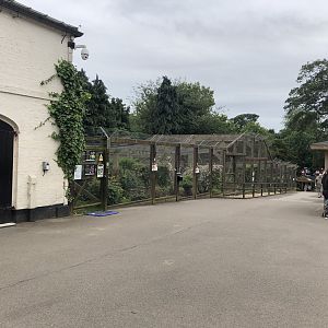 View Towards Lemurs and Pheasants at Sewerby Zoo (June 2023)