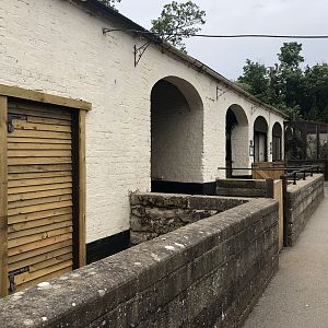 Domestics at Sewerby Zoo (June 2023)