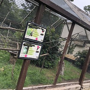 Mixed Parrot Aviary at Sewerby Zoo (June 2023)